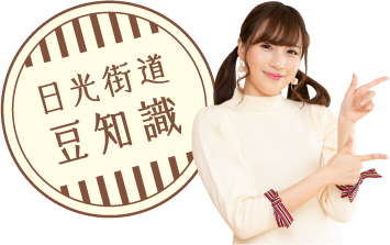 冬の女子旅 さいたま日光街道ドライブ 日光街道とは？