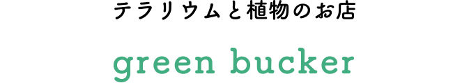 冬の女子旅 さいたま日光街道ドライブ テラリウムと植物のお店 green bucker