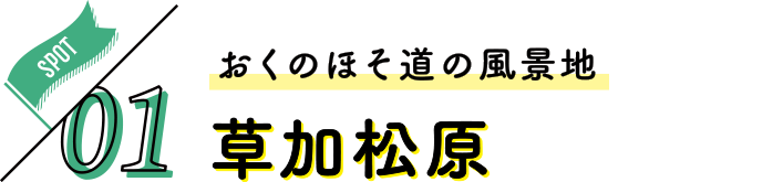 冬の女子旅 さいたま日光街道ドライブ 草加松原