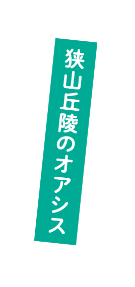 狭山丘陵のオアシス