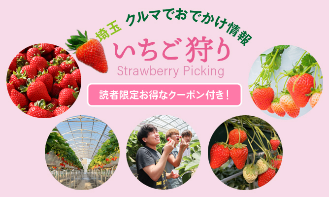 埼玉・クルマでおでかけ情報｜いちご狩り