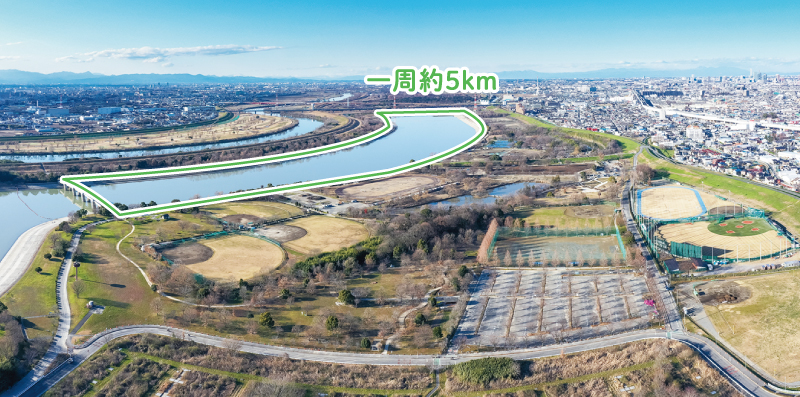 彩湖・道満グリーンパーク