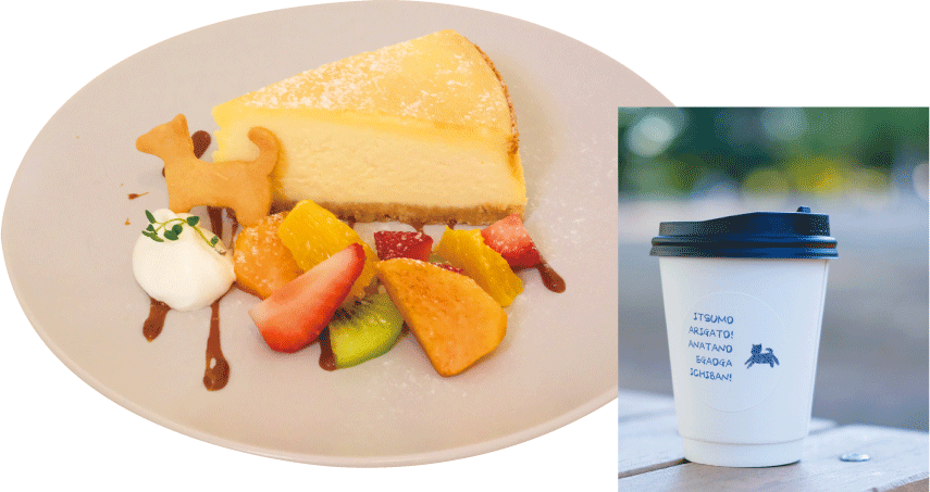  ニューヨークチーズケーキ フルーツトッピング Café Shibaken