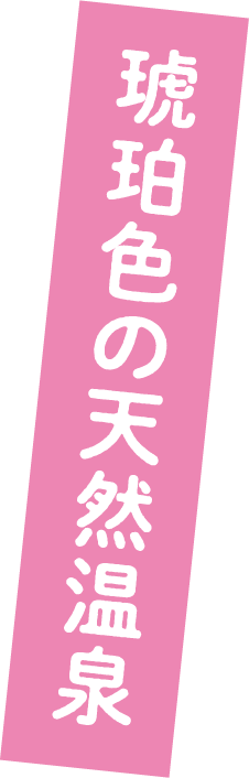 琥珀色の天然温泉 天然戸田温泉 彩香の湯