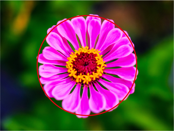 テクニック2構図の取り方は他にもたくさん！ 日の丸構図