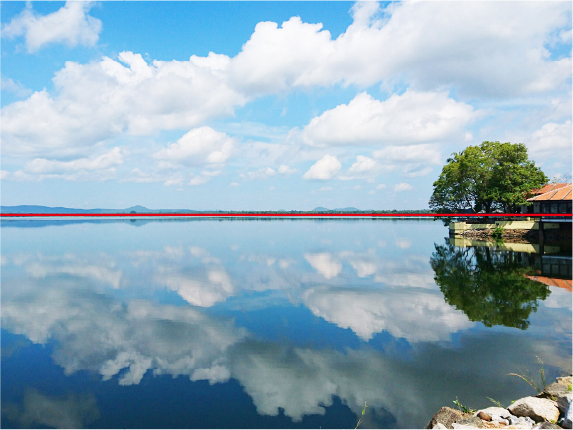 テクニック2構図の取り方は他にもたくさん！ 二分割法