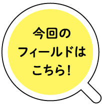 今回のフィールドはこちら！