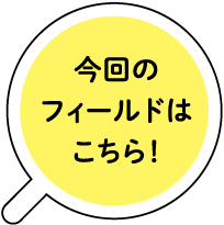 今回のフィールドはこちら！