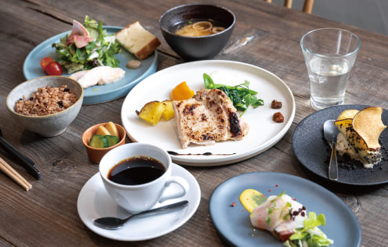 健酵彩菜コース