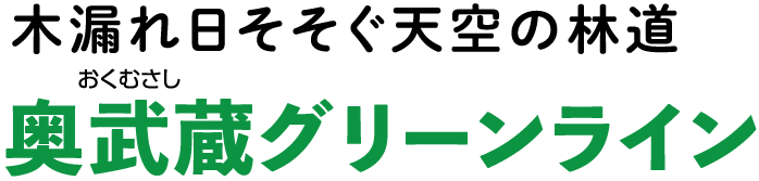 木漏れ日そそぐ天空の林道奥武蔵グリーンライン