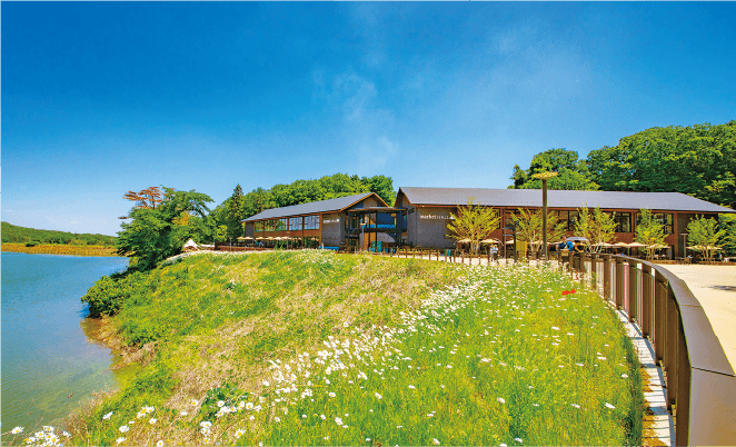 メッツァビレッジ