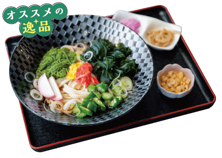 冷やしめかぶうどん