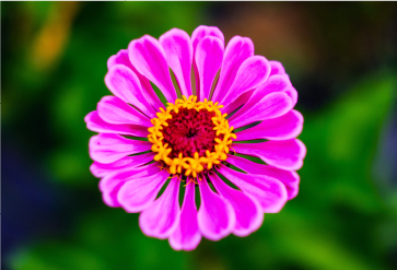 スマホ写真講座記事一覧 第1回 基本編