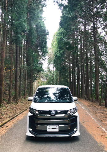 テクニック3 スマホならではの縦長構図でも映え写真を撮ってみよう！