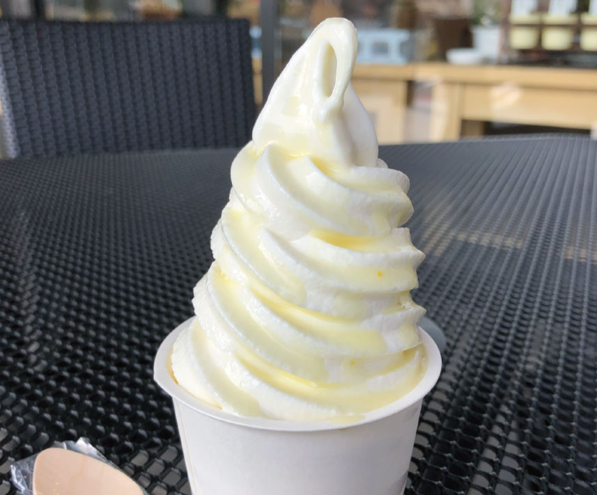 ワンポイントテクニック【背景に困ったらショッピングバッグを活用！】