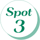 spot3