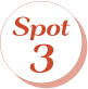 spot3