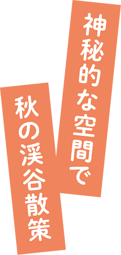 神秘的な空間で秋の渓谷散策