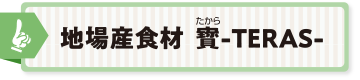 地場産食材 寶-TERAS-