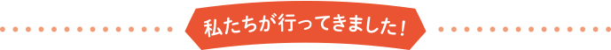 私たちが行ってきました！