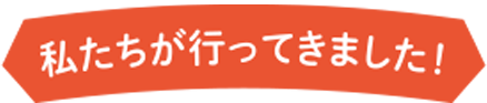 私たちが行ってきました！