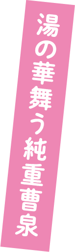 湯の華舞う純重曹泉