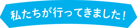 私たちが行ってきました！
