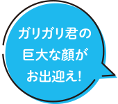 ガリガリ君の巨大な顔がお出迎え!