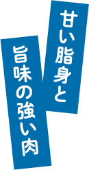甘い脂身と旨味の強い肉