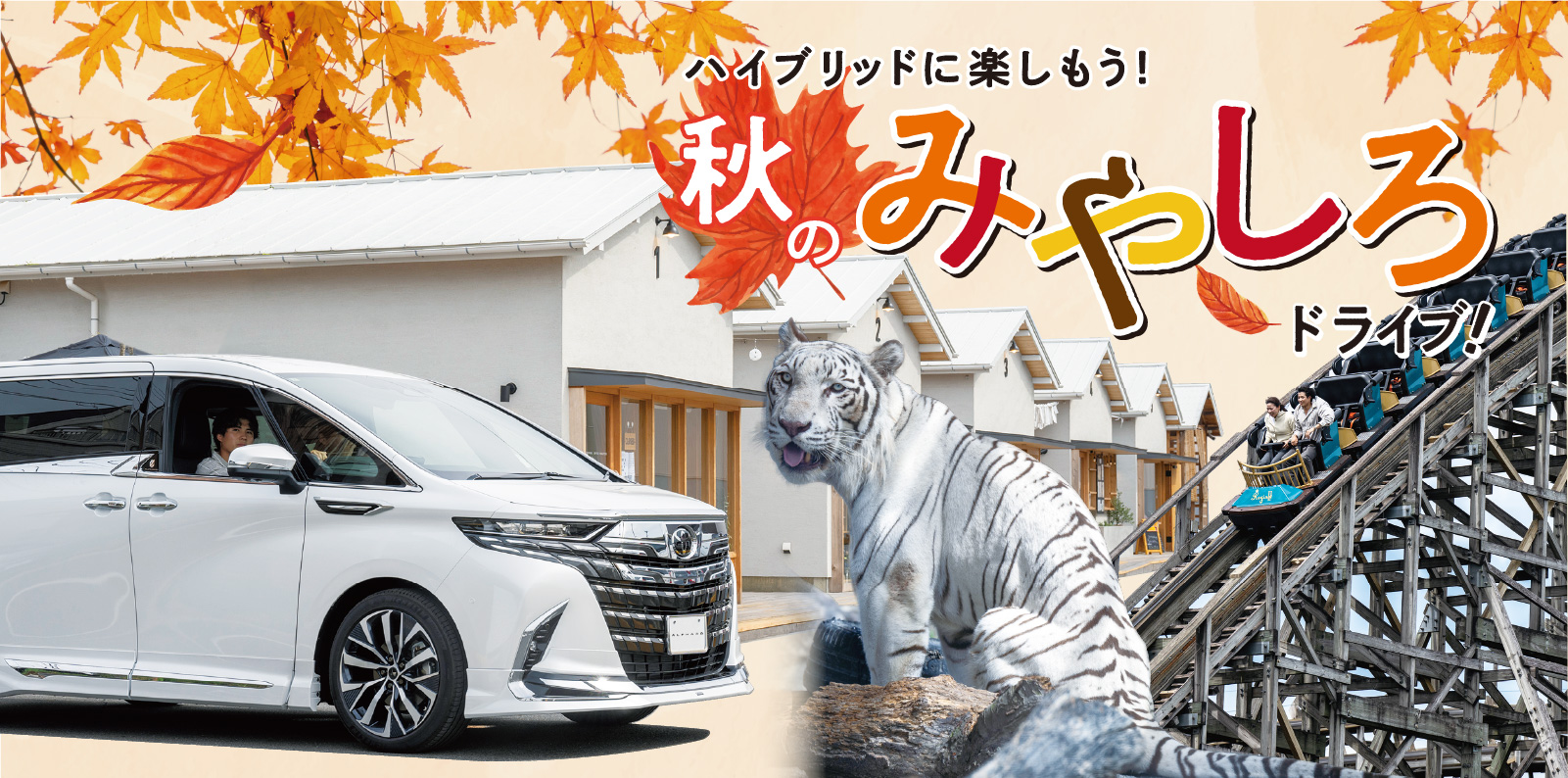 秋のみやしろドライブ!