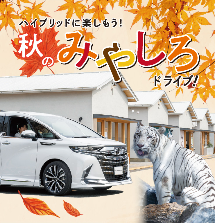 秋のみやしろドライブ!