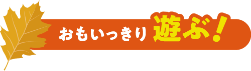おもいっきり遊ぶ!