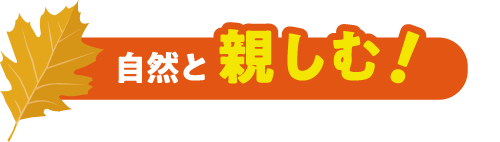 自然と親しむ!