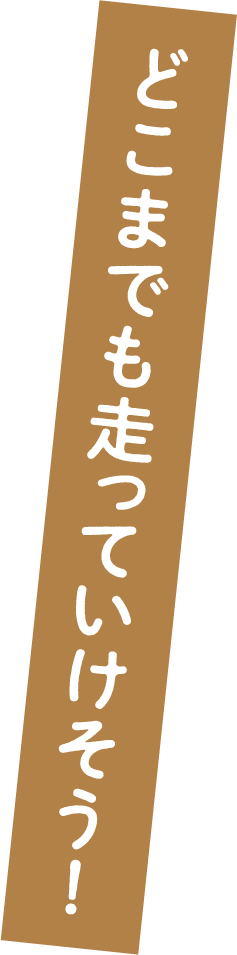 どこまで走っていけそう！