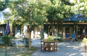 三橋の森 カフェボスケ