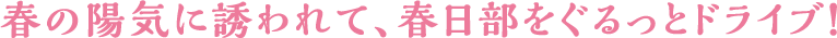 春の陽気に誘われて、春日部をぐるっとドライブ！