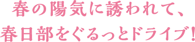 春の陽気に誘われて、春日部をぐるっとドライブ！