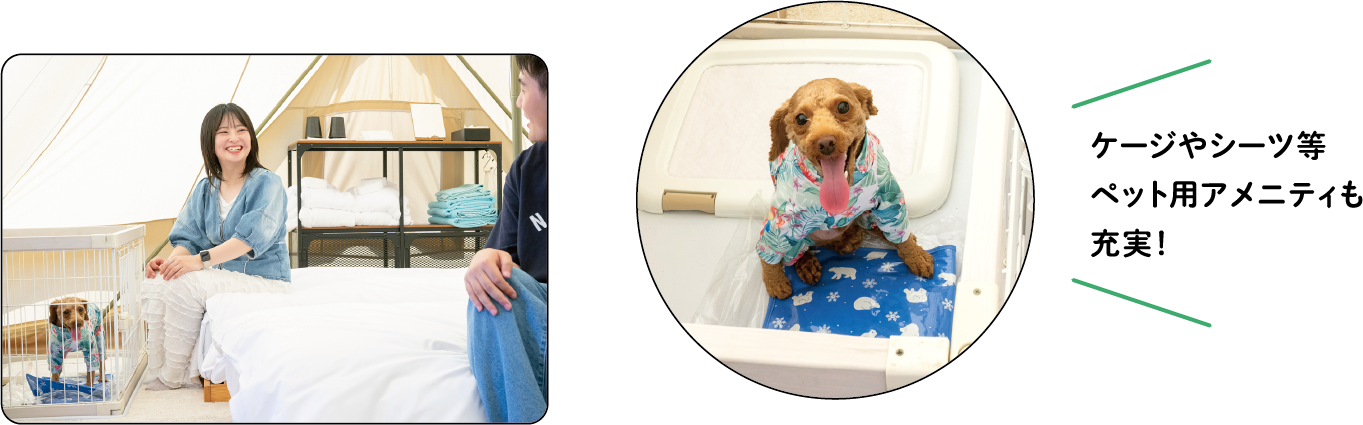 ケージやシーツ等 ペット用アメニティも充実!