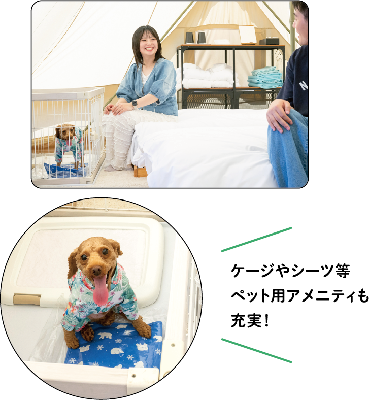 ケージやシーツ等 ペット用アメニティも充実!