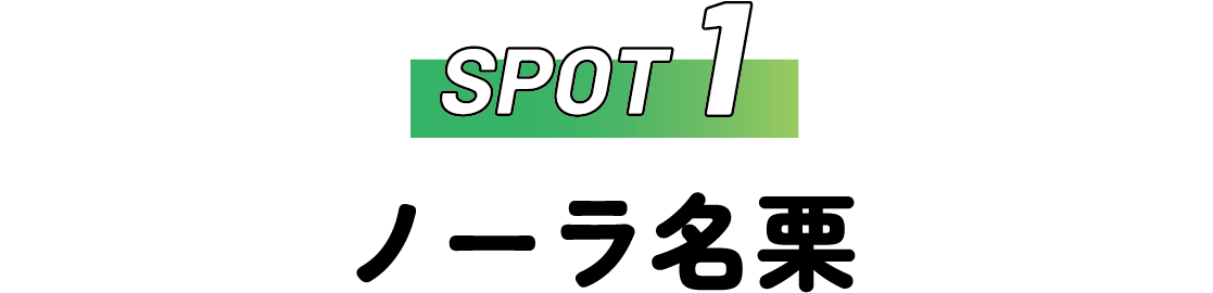 SPOT1 ノーラ名栗