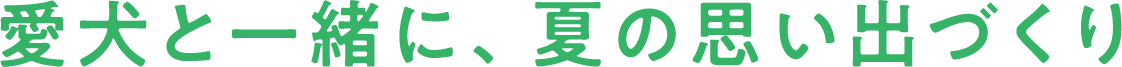 愛犬と一緒に、夏の思い出づくり
