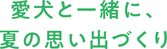 愛犬と一緒に、夏の思い出づくり
