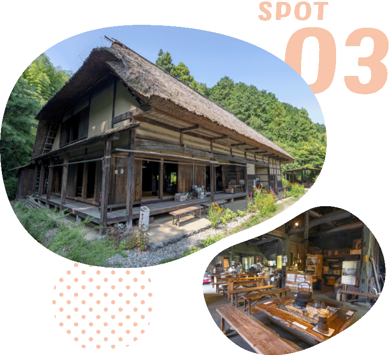 SPOT 03