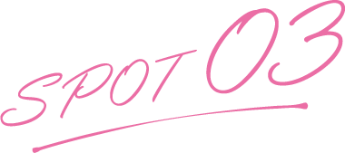 SPOT03