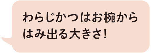 わらじかつはお椀からはみ出る大きさ！
