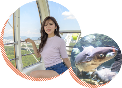 土と水の恵みに育まれた里 岐阜ドライブ