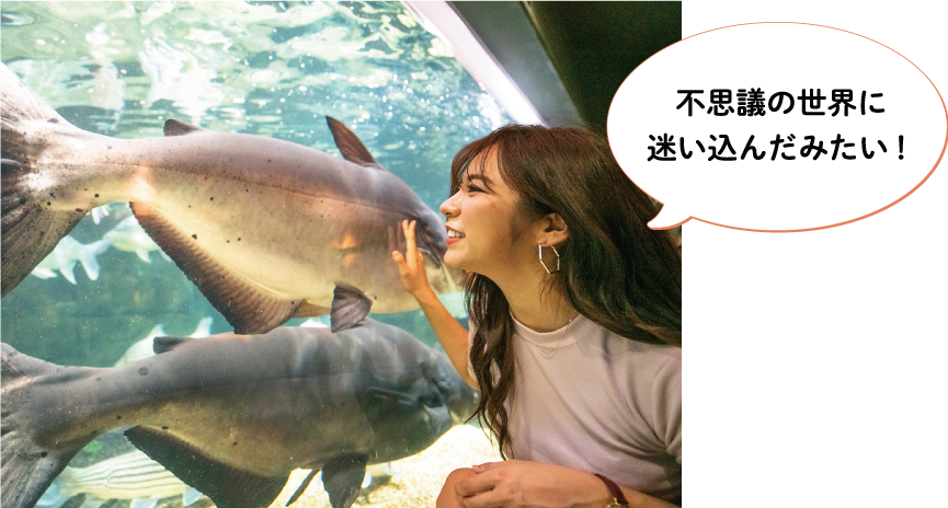 アクア・トト ぎふ3