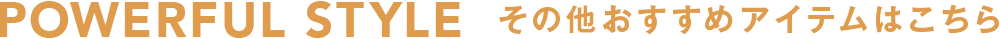 RAIZE POWERFUL STYLE