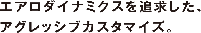 エアロダイナミクスを追求した、アグレッシブカスタマイズ。