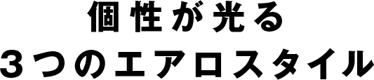 個性が光る3つのエアロスタイル。